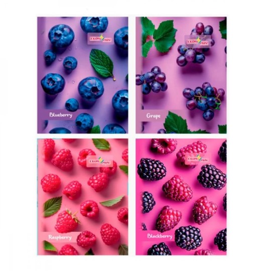 Блокнот А6 Скат Berries 48 аркушів ТП-51-2