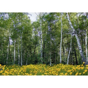 Фотообои "Лесные красавицы" 134 * 194см (8 л.)