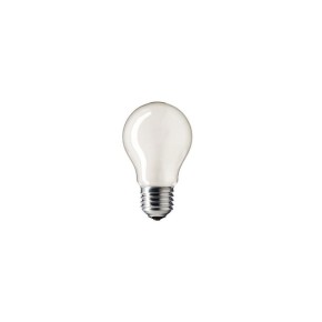 Лампа накаливания Philips Stan 100W E27 230V A55 CL 1CT/12X10F (926000004012)
