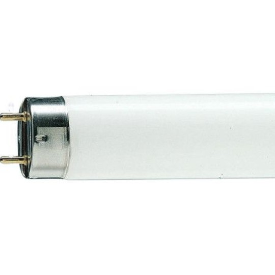 Лампа Philips люминесцентная TL-D 36W/54 G13
