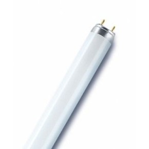 Лампа люмінесцентна OSRAM L36W/765 G13 (10032409)