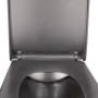 Унитаз подвесной Qtap Tern с сиденьем Slim Soft-close QT1733052ERMB