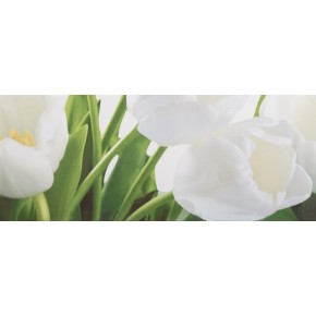 Плитка облицовочная Tulip 2 W тюльпаны 200*500 1г. (16882) 1,7