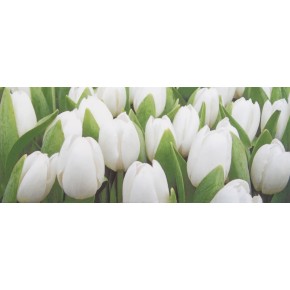 Декор Tulip Mini W тюльпаны 200*500