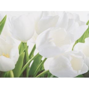 Декор панно Tulip W тюльпаны 200*500 (2 шт)