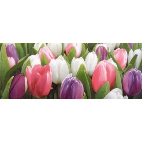 Декор Tulip Mini PN тюльпаны 200*500
