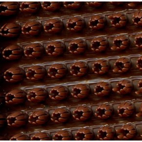 Щетинисте покриття Door Mat 18 LIGHT Brown (BROWN-02) Світло-коричневий (15 м.п)