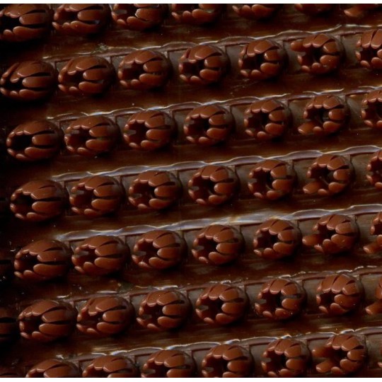 Щетинистое покрытие Door Mat 18 LIGHT Brown (BROWN-02) Светло-коричневый (15 м.п)