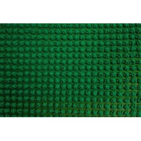 Щетинисте покриття 4740069-63 зелений (15 м.п)