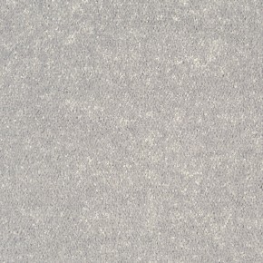 Килимове покриття Драгон-термо 30331 4,00 1 класс