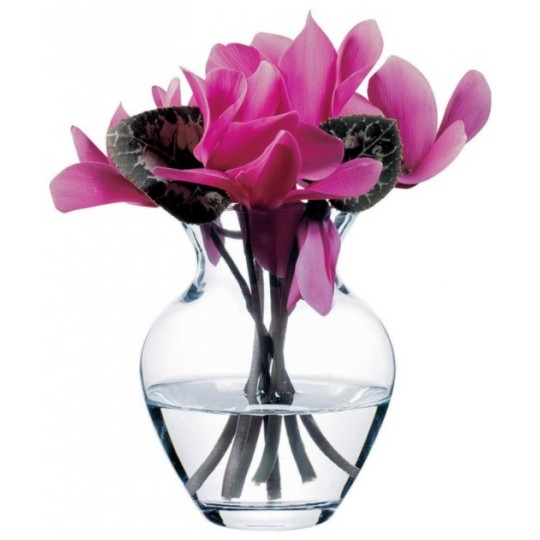 Ботаника ваза для цветов h-14,4 см (5712700)