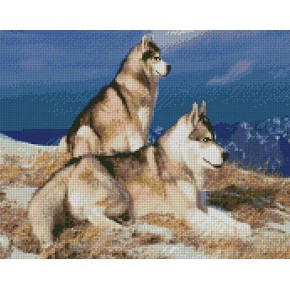 Алмазна картина FA10183 «Хаскі в горах», розміром 40х50 см FA10183