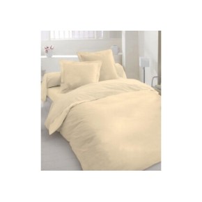 Комплект постельного белья (бязь 100%) (160*215) (111903)