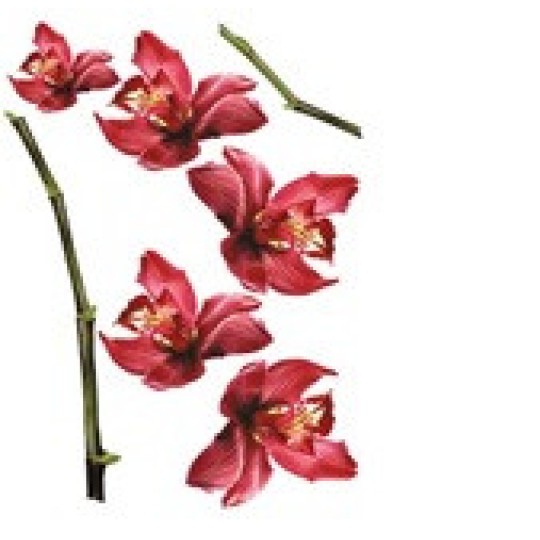 Наклейка декоративна №2 (Орхідеї)