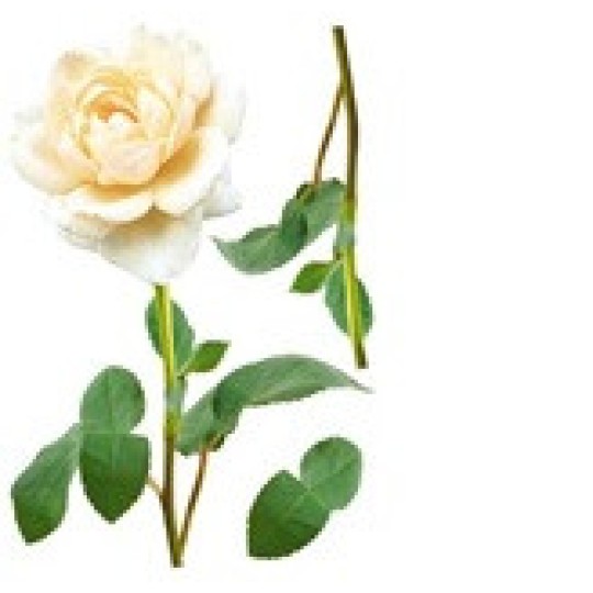 Наклейка декоративная №10 (Белая роза)