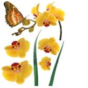 Наклейка декоративна №16 (Жовті орхідеї)