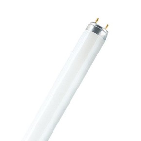 Лампа люмінесцентна OSRAM L18W/765 G13 (10032401)