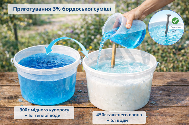 Инструкция по приготовлению 3% бордоской смеси.